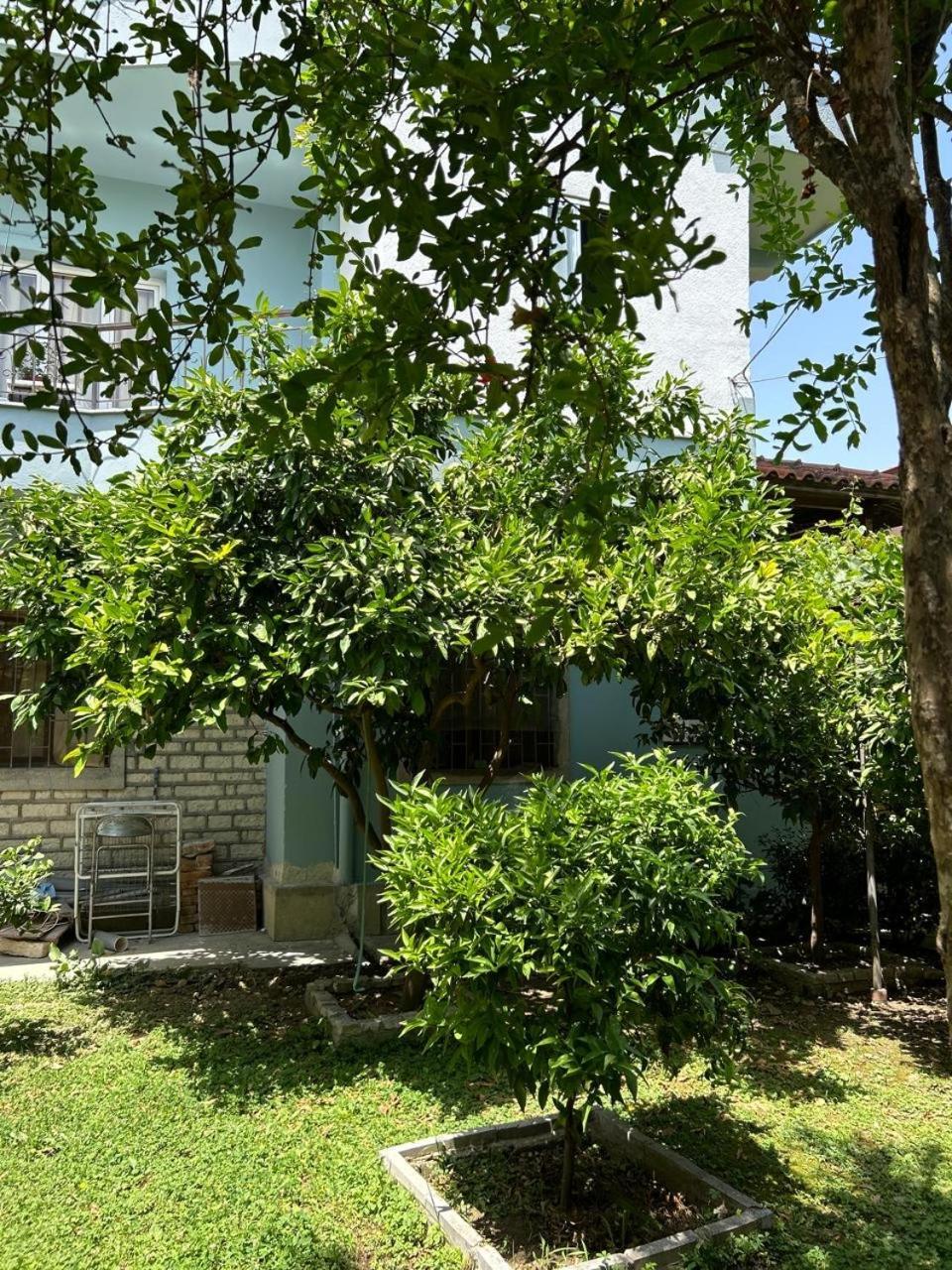 Guesthouse Katerina Berat Eksteriør bilde